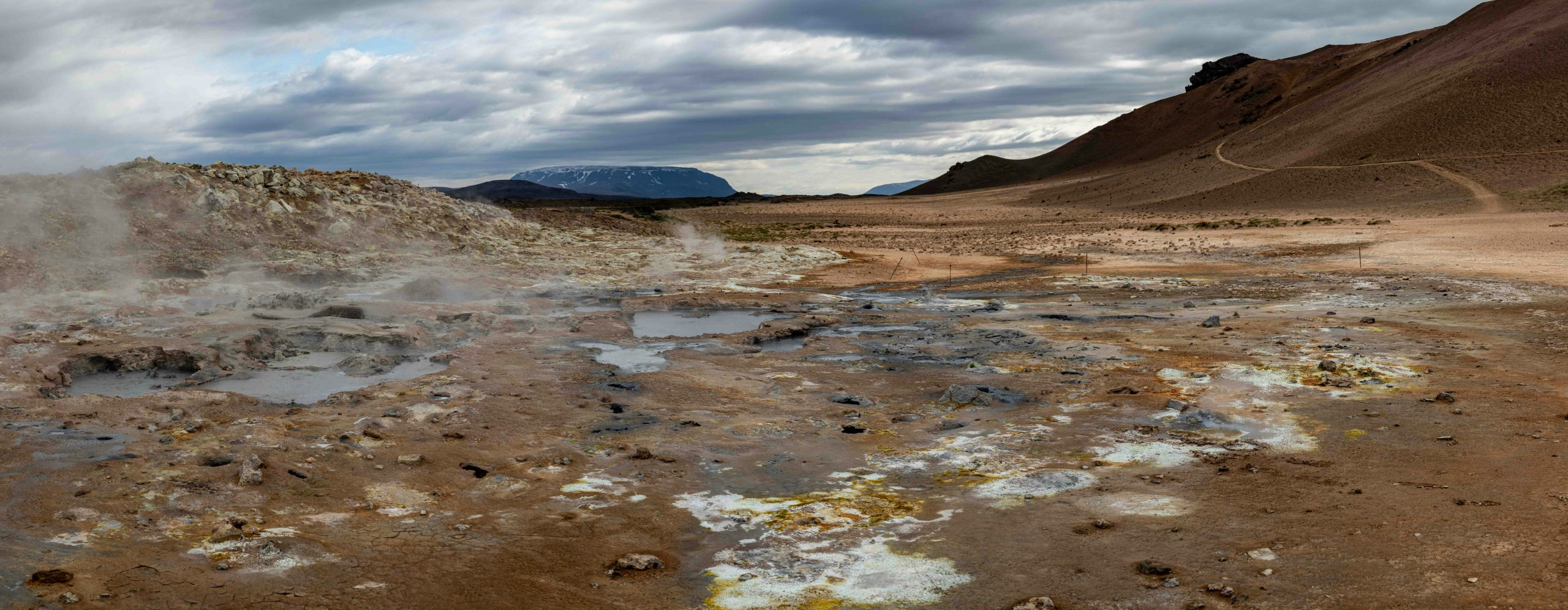 Emerging Trends in Environmental Justice and Legal Accountability